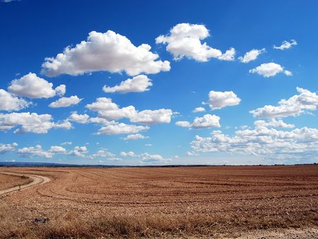 Законопроект о рынке земли внесли в Верховную Раду