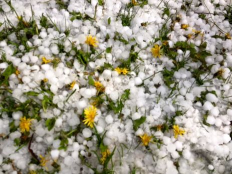 В Ровенской области выпал крупный град