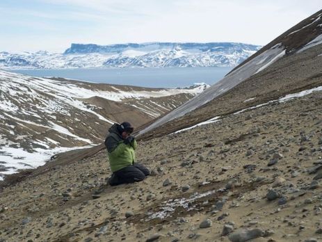 В Антарктиде нашли более тонны останков динозавров