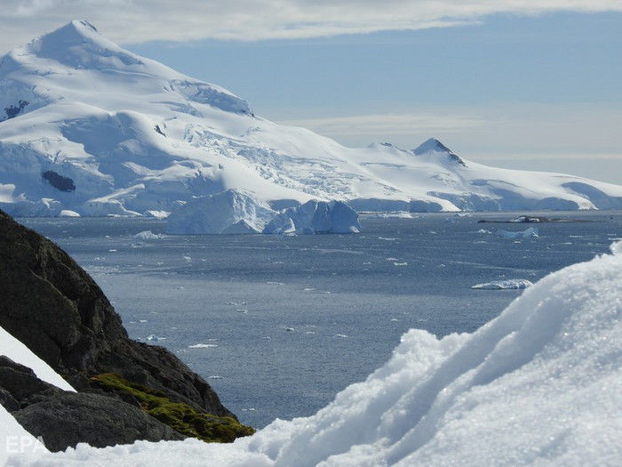 ﻿В Антарктиді відколовся айсберг вагою 315 млрд тонн