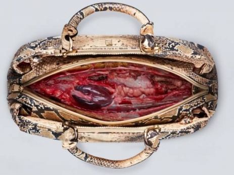 PETA в торговом центре показала плоть животных, с которых сняли кожу. Видео