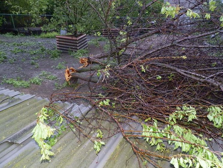 Ураган в Луганской области повредил 25 домов и опоры электропередач 