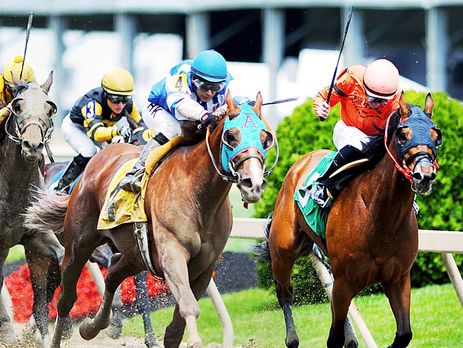 Во время традиционных скачек в США умерли две лошади, один из жокеев сломал ключицу