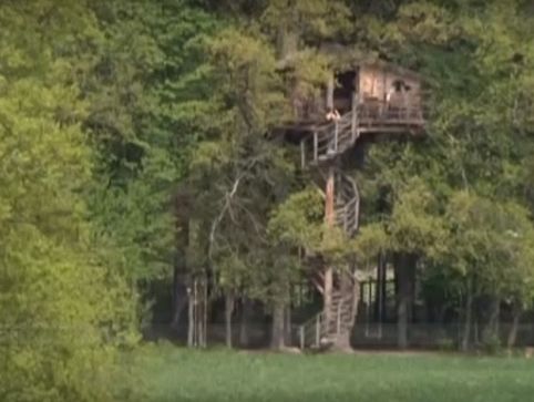 В Чехии туристам предлагают отдохнуть в отеле на дереве. Видео