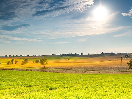 ﻿У Раді зареєстрували 11 законопроєктів про ринок землі