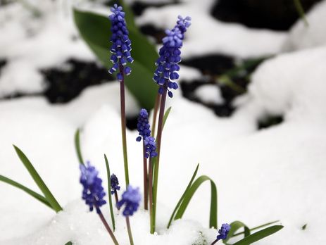 В первый день лета в нескольких городах России выпал снег