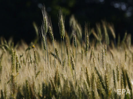 55% украинцев выступают против открытия рынка земли – опрос