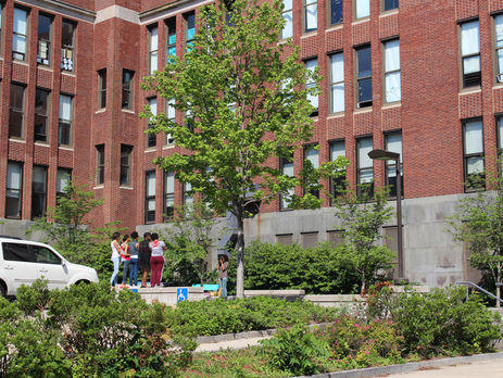 В Бостоне произошла стрельба возле школы, погиб учащийся