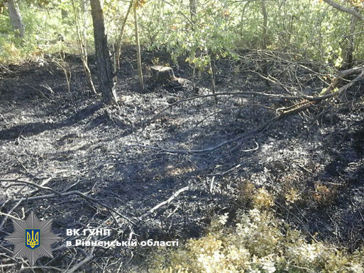 Нацполиция: В Ровенской области двое мужчин пытались сжечь 16-летнего подростка
