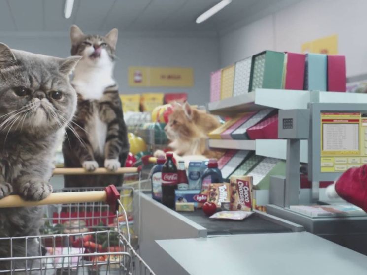 Коты прорекламировали немецкий супермаркет Netto. Видео