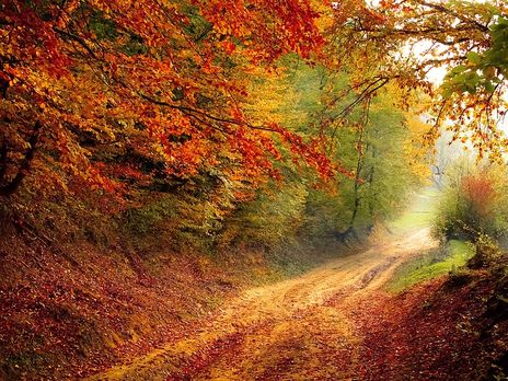 В Киеве зафиксировали самую высокую температуру за 62 года