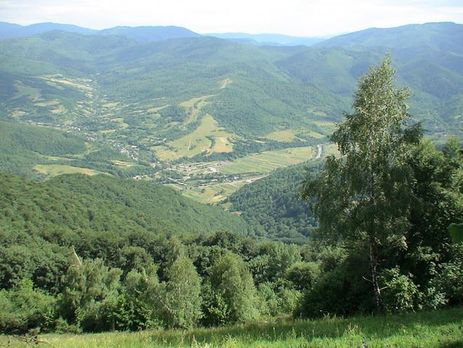 В Закарпатье депутат застрелил майора полиции на охоте