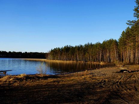 В Следкоме РФ заявили о 12 погибших на озере в Карелии, возбуждено дело