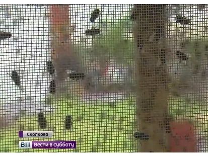 В российском 