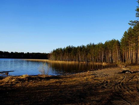 В МЧС сообщили о 14 погибших детях на озере в Карелии