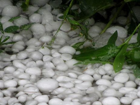 В Закарпатье град-гигант разбил крыши домов и автомобили. Фоторепортаж