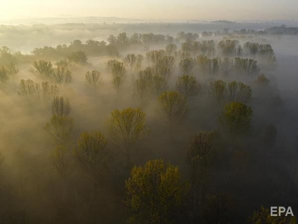ГСЧС предупредила о тумане в Украине 25 октября