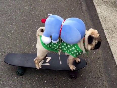 Японский блогер полтора года публиковал ролики, которые никто не смотрел