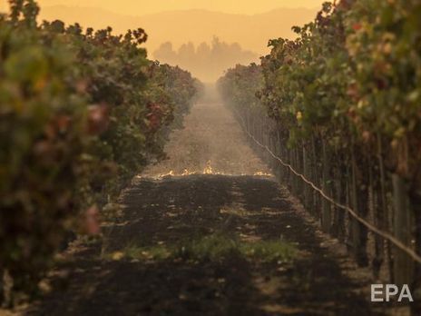 Из-за лесных пожаров в Калифорнии эвакуировали около 90 тыс. человек