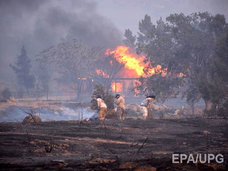 В Калифорнии бушует масштабный лесной пожар: есть жертвы