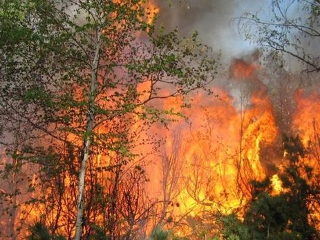 На Камчатке вертолет сбил человека