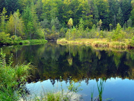Во Львовской области женщина погибла под колесами собственного авто