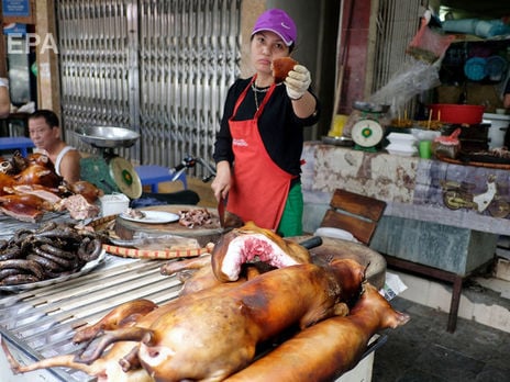 В столице Южной Кореи закрыли последние бойни для собак