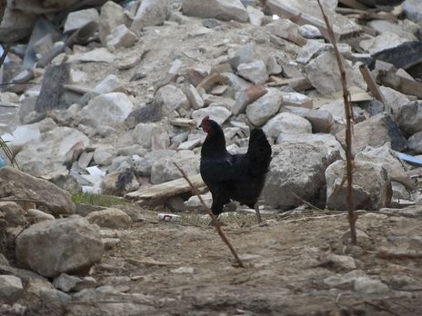 В Украине может произойти сильное землетрясение – сейсмолог