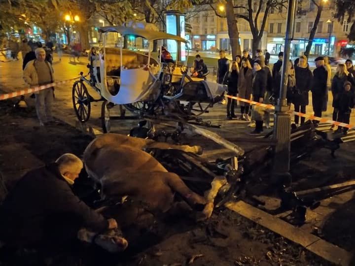 Напуганные фейерверком лошади травмировали двух человек в центре Львова
