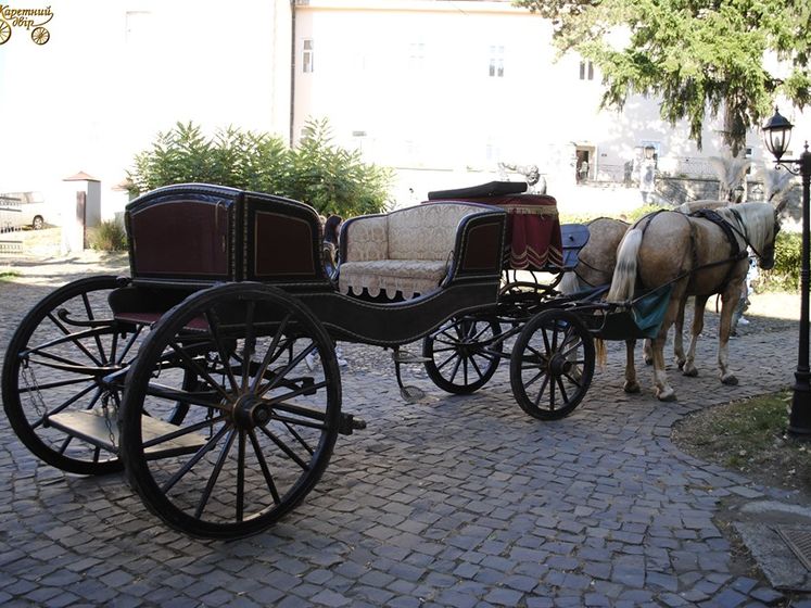 Во Львове запретили катать людей в экипажах из-за инцидента с лошадью, в котором пострадала девушка