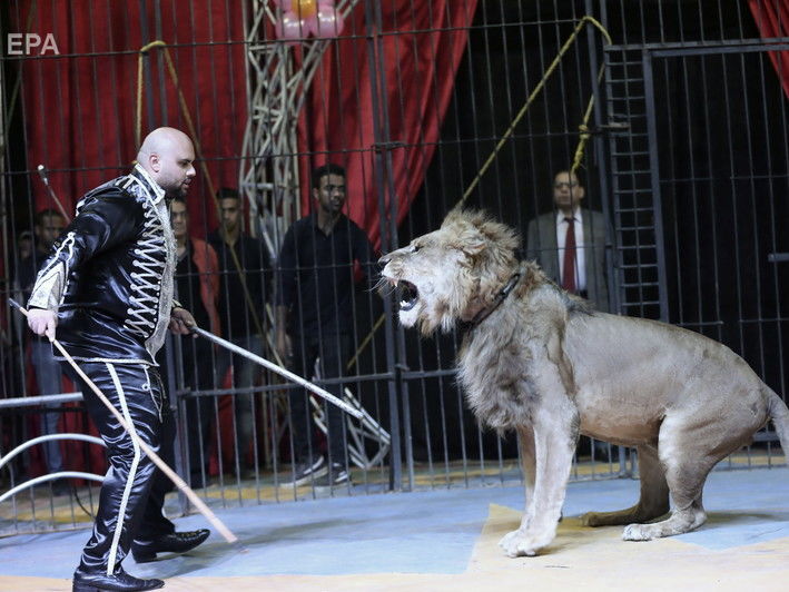 ﻿В уряді запропонували передати тварин із цирків у заповідники