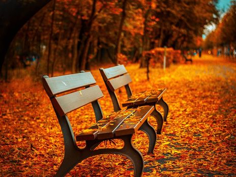 В Киеве 6 ноября зафиксировали два температурных рекорда