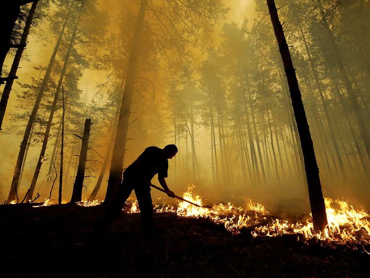 В Украине ожидается высокая, а местами чрезвычайная пожарная опасность