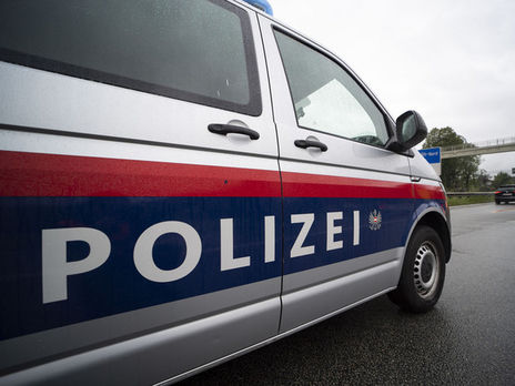 В Австрии по делу об отмывании денег задержали бывшего высокопоставленного чиновника из министерства культуры России