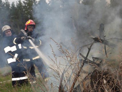 ГСЧС: Площадь пожара в Чернобыльской зоне уменьшилась до 10 гектаров