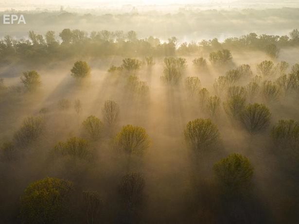 ГСЧС предупредила о тумане в Украине