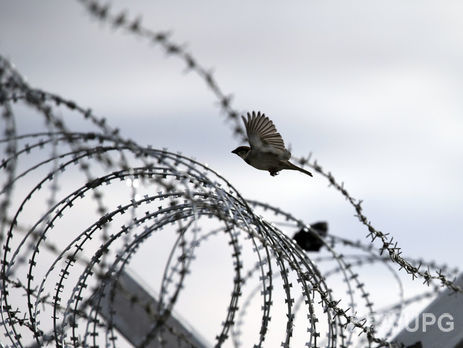 В полиции опровергли факт массового побега заключенных из колонии под Киевом