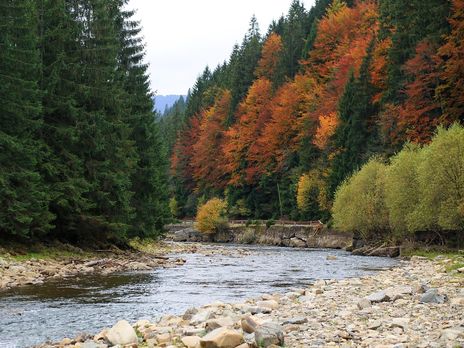 В Украине запустили проект 