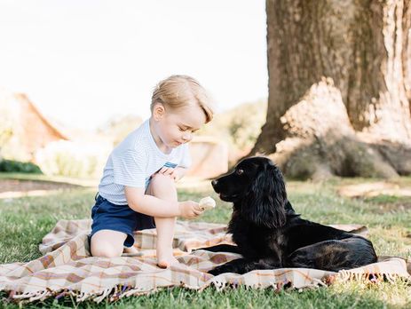 Британская королевская семья в день трехлетия принца Джорджа опубликовала его новые снимки. Фоторепортаж