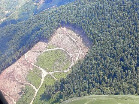 Луценко опубликовал снимки мест массовой вырубки карпатских лесов. Фоторепортаж