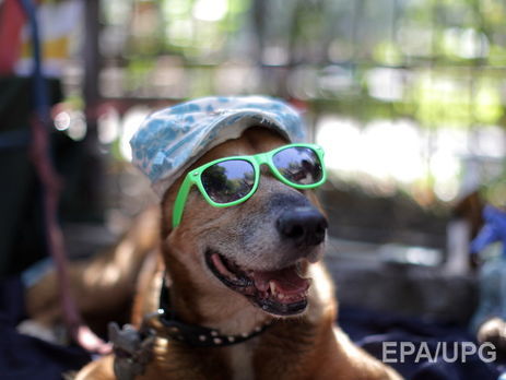 В Украину возвращается жаркая погода