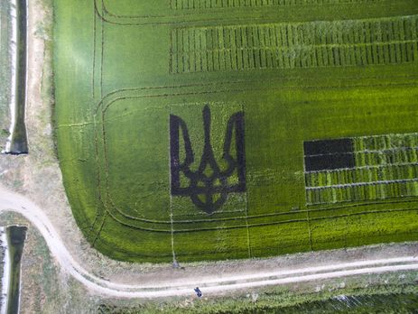 Гигантский трезубец из черного риса стал новым рекордом Украины