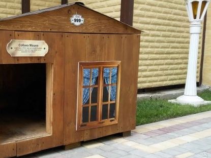 В одесском жилкомплексе выделили жилплощадь дворовой собаке 