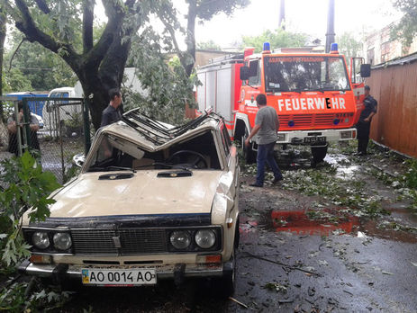 Сильный ветер в Ужгороде валил деревья и разбивал машины. Фоторепортаж