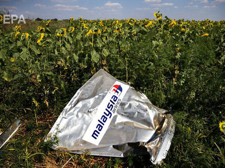 Boeing 777, який летів з Амстердама в Куала-Лумпур, було збито 17 липня 2014 року