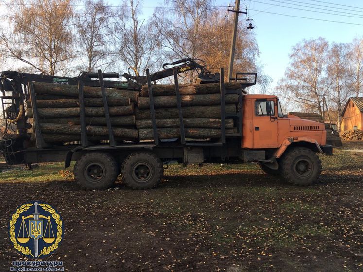 В Харьковской области сообщили о подозрении чиновникам лесхоза, незаконно вырубившим лес на 98 млн грн