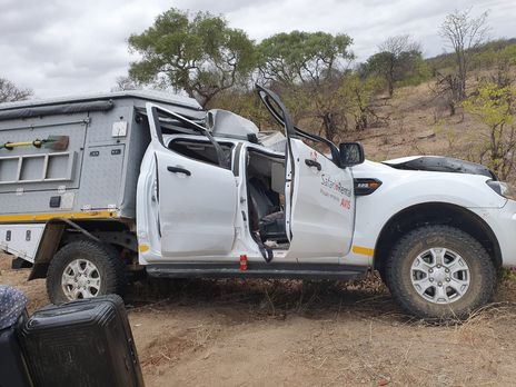 В южноафриканском парке в ДТП во время сафари погибли турист и жираф