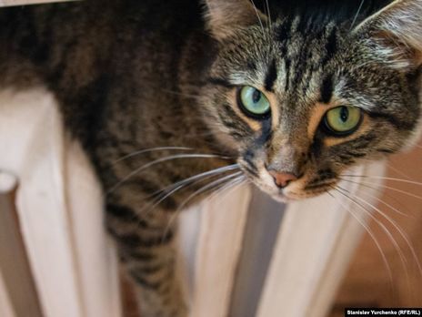 В Украине к отоплению на 100% подключены 10 областей