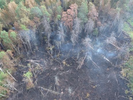 Госслужба по ЧС: Пожар в зоне отчуждения локализован