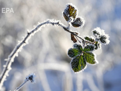 В Украине на следующей неделе начнет холодать – синоптик